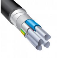 Кабель силовой бронированный АВБШВнг(А)-LS 4х10ок(N)-0,66 (Людиновокабель)