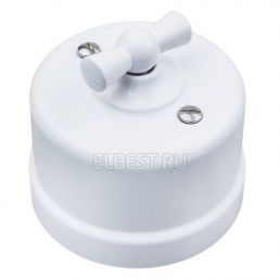 Выключатель 1 кл/ переключатель Лизетта белый 10А пластик накладной монтаж (Bironi), арт. B1-201-21